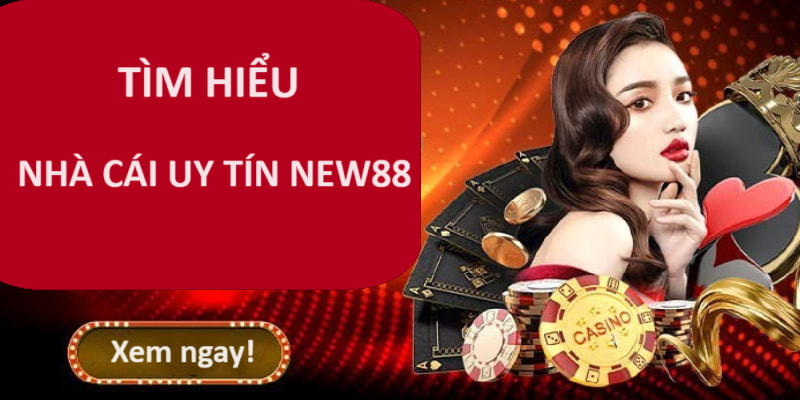 Nhà Cái Uy Tín NEW88 – Sân Chơi Cá Độ Được Săn Đón Nhất 2026 1 Tìm hiểu nhà cái uy tín New88