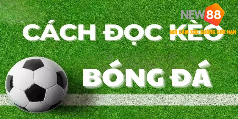 Kèo Chấp Là Gì? - Cách Chơi & Giải Thích Các Kèo Phổ Biến 2026 3 Bí kíp chiến thắng khi tham gia kèo Handicap