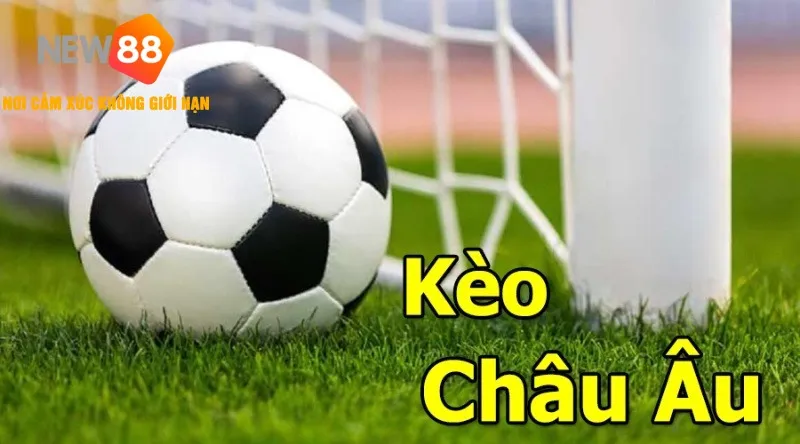 Cá Độ Bóng Đá Trực Tuyến NEW88 ⚽ Uy Tín & An Toàn 2026 2 Cược kèo châu Âu NEW88
