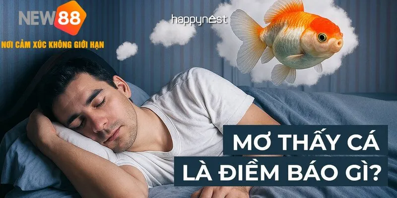 Mơ Thấy Câu Cá - Đánh Lô Đề Gì Dễ Trúng Thưởng Lớn 2026 1 Mơ Thấy Câu Cá - Đánh Lô Đề Gì Dễ Trúng Thưởng