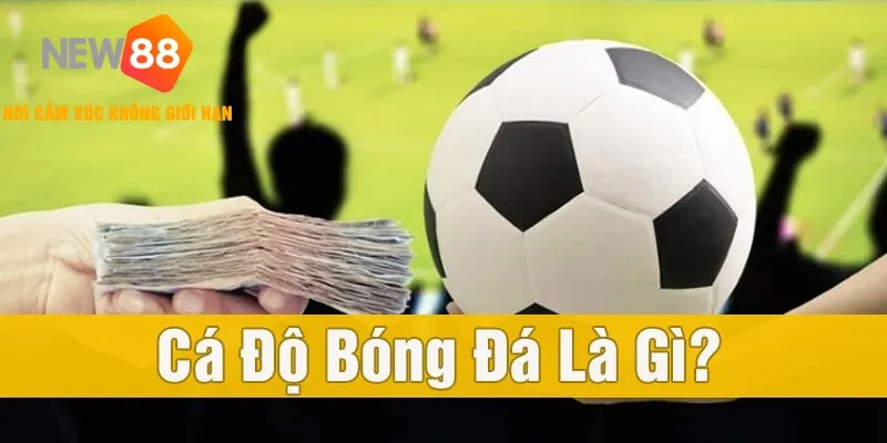 Cá Độ Bóng Đá Trực Tuyến NEW88 ⚽ Uy Tín & An Toàn 2026 1 Tìm hiểu sơ về khái niệm cá độ bóng đá